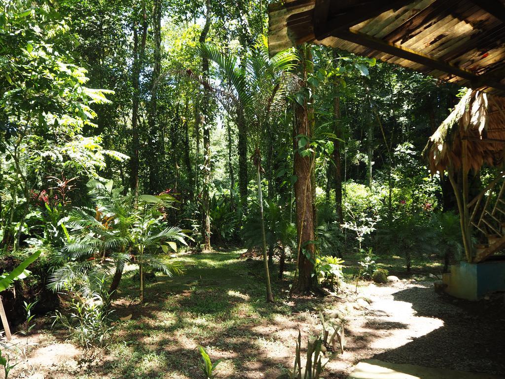 Se Ua Bed & Breakfast Manzanillo  Exterior photo